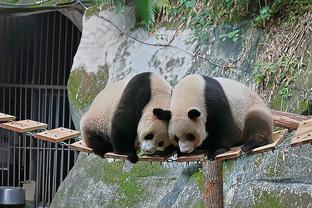 必威登录平台首页在哪